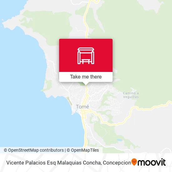 Mapa de Vicente Palacios Esq Malaquias Concha