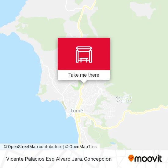 Mapa de Vicente Palacios Esq Alvaro Jara