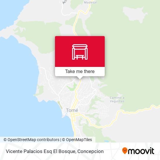 Mapa de Vicente Palacios Esq El Bosque