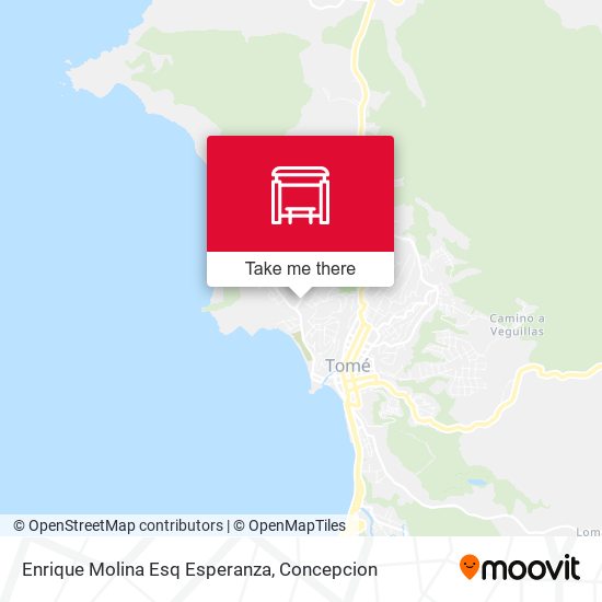 Mapa de Enrique Molina Esq Esperanza