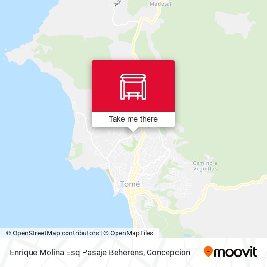 Enrique Molina Esq Pasaje Beherens map