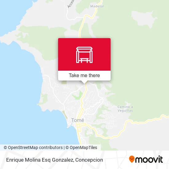 Mapa de Enrique Molina Esq Gonzalez