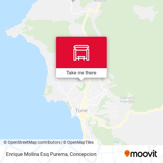Enrique Molina Esq Purema map