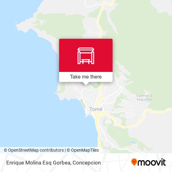 Enrique Molina Esq Gorbea map