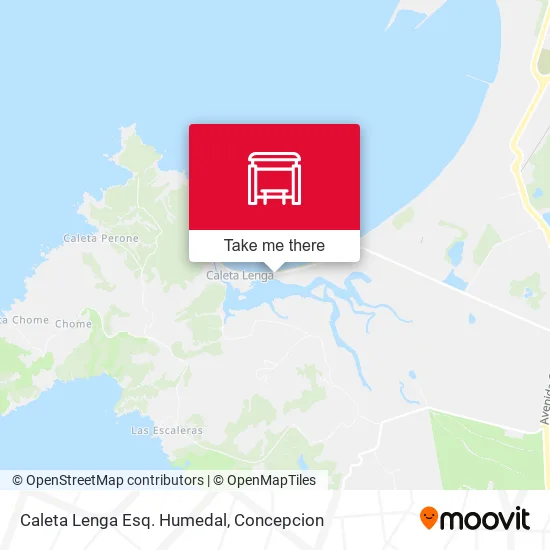 Mapa de Caleta Lenga Esq. Humedal