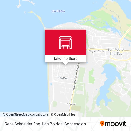 Rene Schneider Esq. Los Boldos map