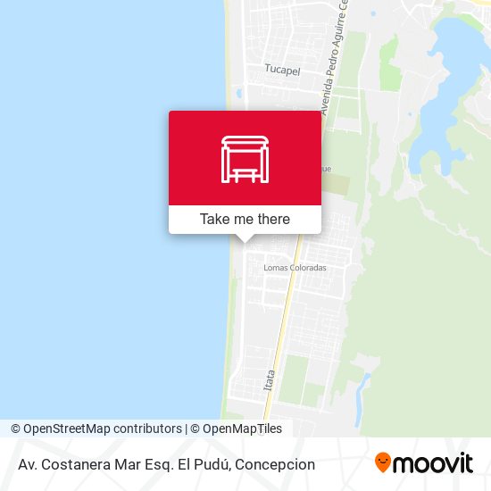 Av. Costanera Mar Esq. El Pudú map