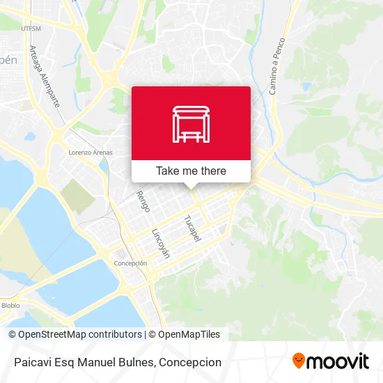 Mapa de Paicavi Esq Manuel Bulnes
