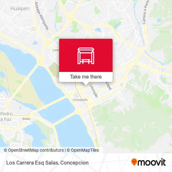 Mapa de Los Carrera Esq Salas