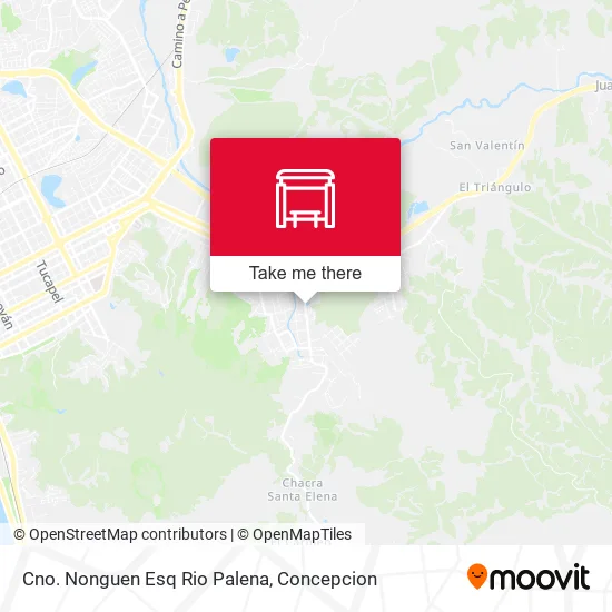 Mapa de Cno. Nonguen Esq Rio Palena