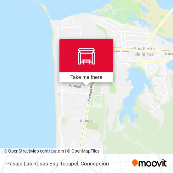 Mapa de Pasaje Las Rosas Esq Tucapel