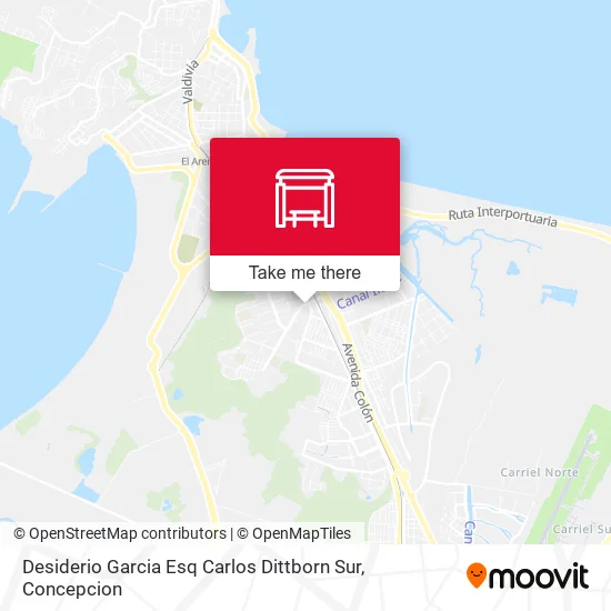 Mapa de Desiderio Garcia Esq Carlos Dittborn  Sur