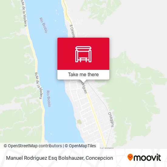 Mapa de Manuel Rodriguez Esq Bolshauzer
