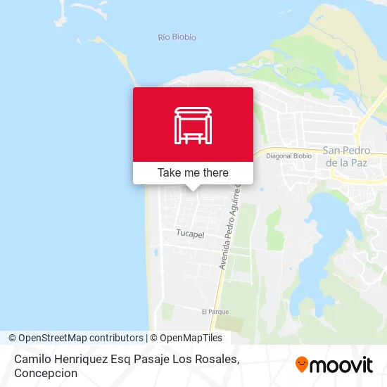 Mapa de Camilo Henriquez Esq Pasaje Los Rosales