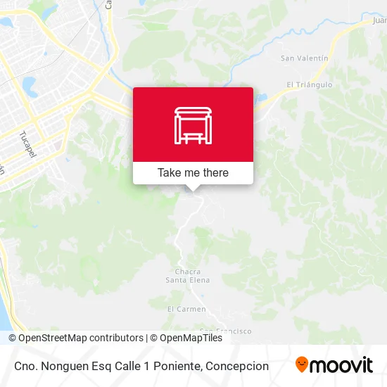 Mapa de Cno. Nonguen Esq Calle 1  Poniente
