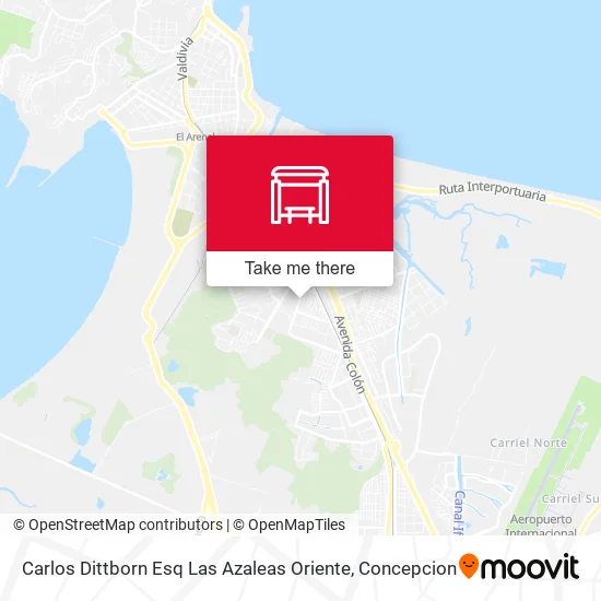 Mapa de Carlos Dittborn Esq Las Azaleas  Oriente