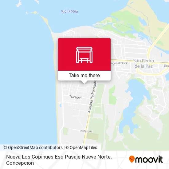 Mapa de Nueva Los Copihues Esq Pasaje Nueve  Norte