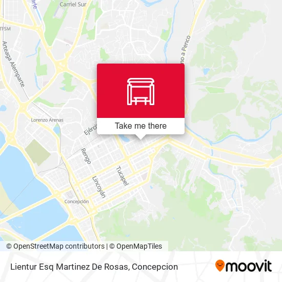 Mapa de Lientur Esq Martinez De Rosas