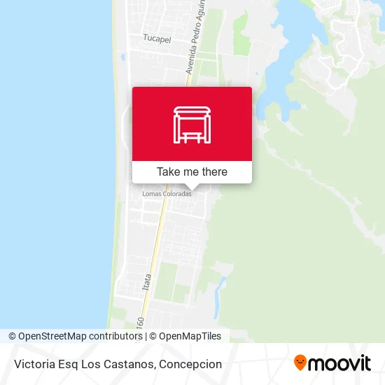 Mapa de Victoria Esq Los Castanos