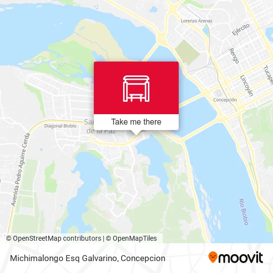 Mapa de Michimalongo Esq Galvarino