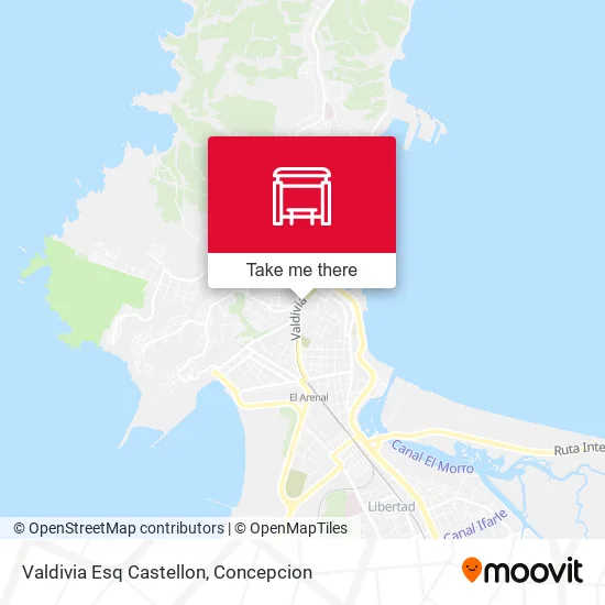 Mapa de Valdivia Esq Castellon