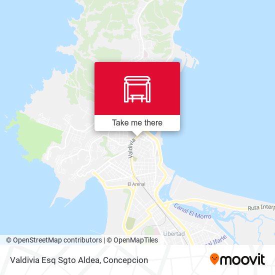 Valdivia Esq Sgto Aldea map