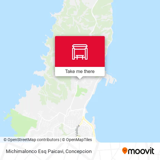 Mapa de Michimalonco Esq Paicavi