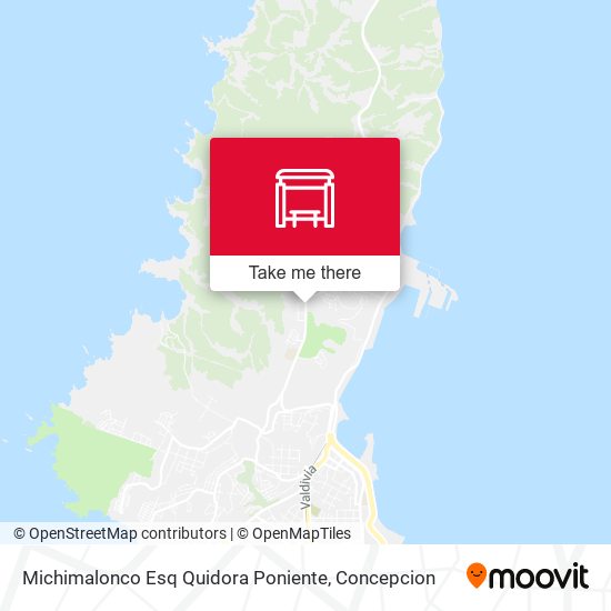 Michimalonco Esq Quidora  Poniente map