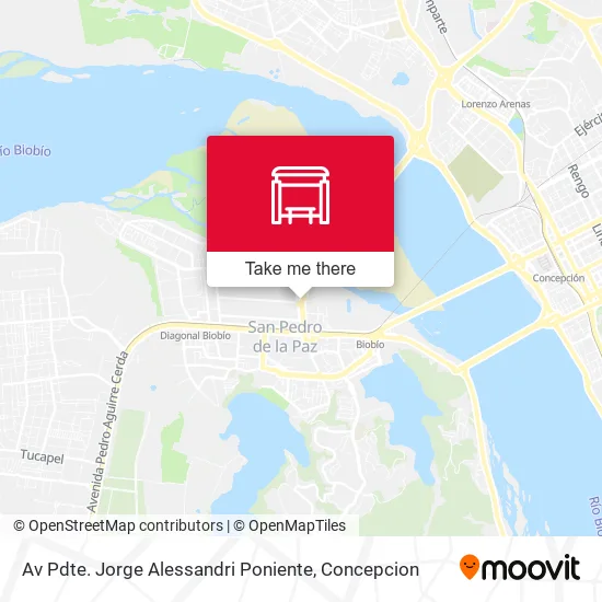 Av Pdte. Jorge Alessandri  Poniente map