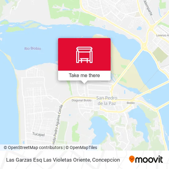Mapa de Las Garzas Esq Las Violetas  Oriente