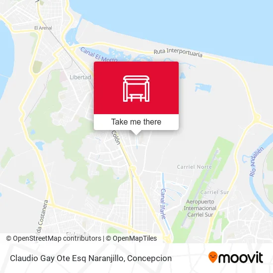 Mapa de Claudio Gay Ote Esq Naranjillo