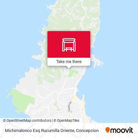Michimalonco Esq Rucumilla  Oriente map