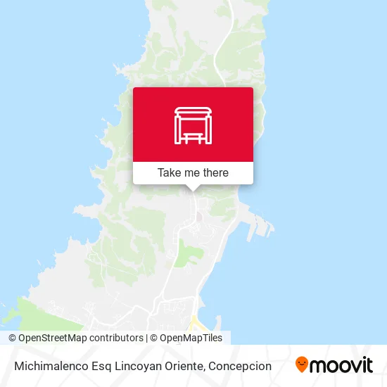 Mapa de Michimalenco Esq Lincoyan  Oriente