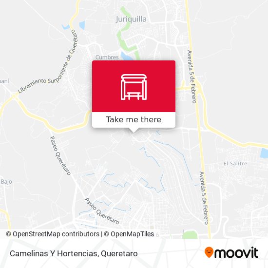 Camelinas Y Hortencias map