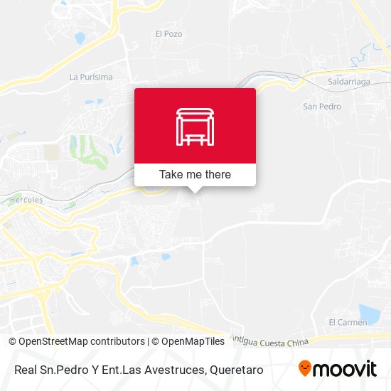Real Sn.Pedro Y Ent.Las Avestruces map