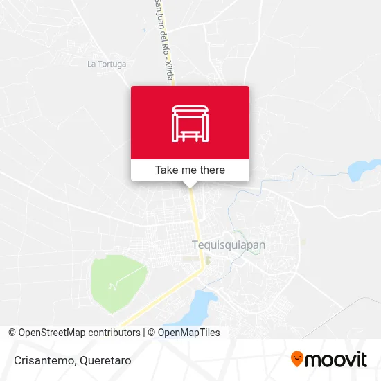 Crisantemo map