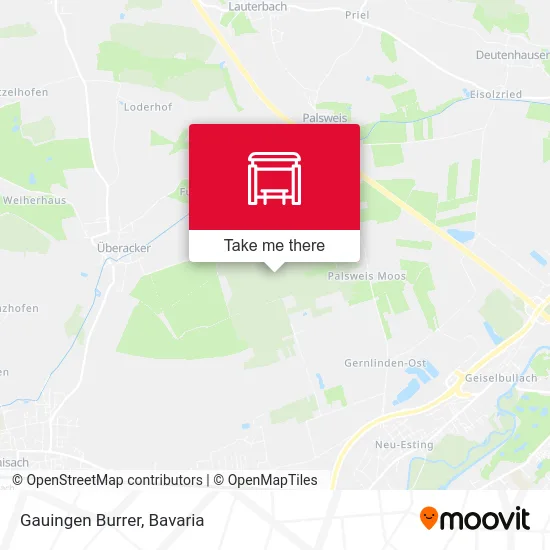 Карта Gauingen Burrer