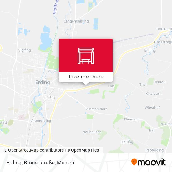 Erding, Brauerstraße map