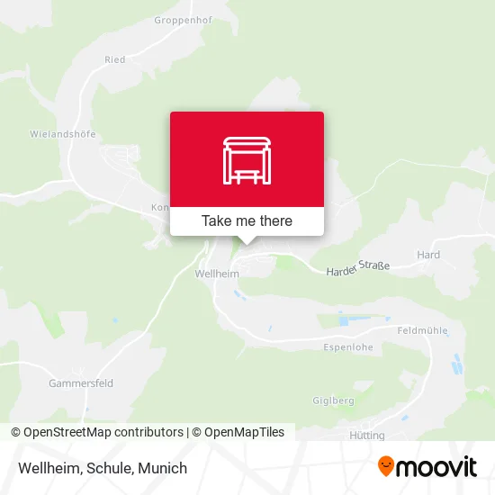 Карта Wellheim, Schule