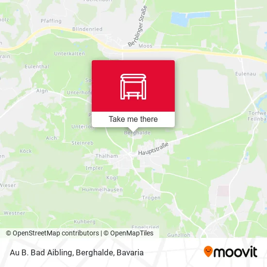 Карта Au B. Bad Aibling, Berghalde