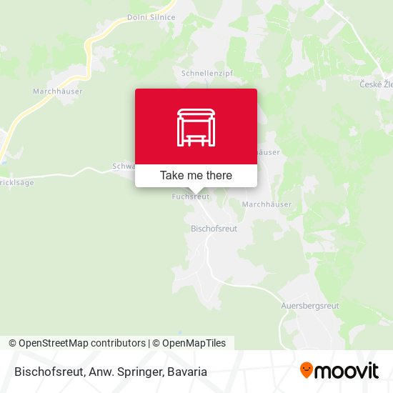 Bischofsreut, Anw. Springer map