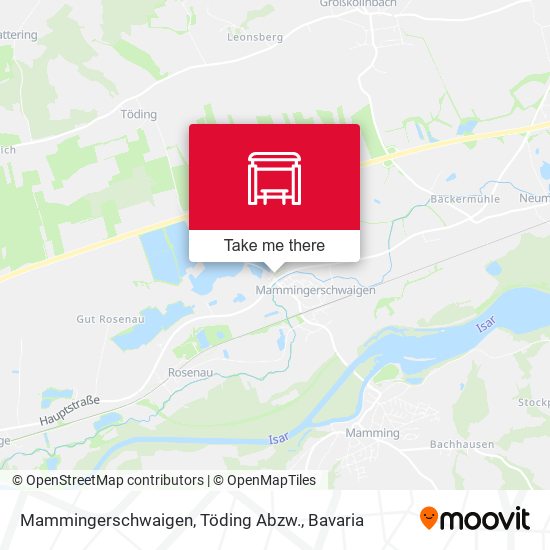 Mammingerschwaigen, Töding Abzw. map