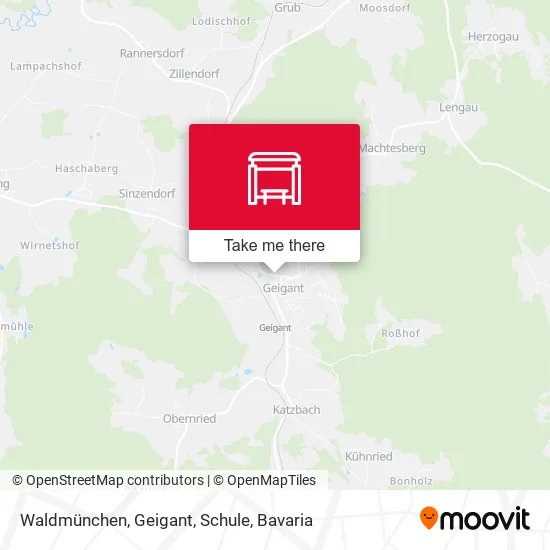 Карта Waldmünchen, Geigant, Schule