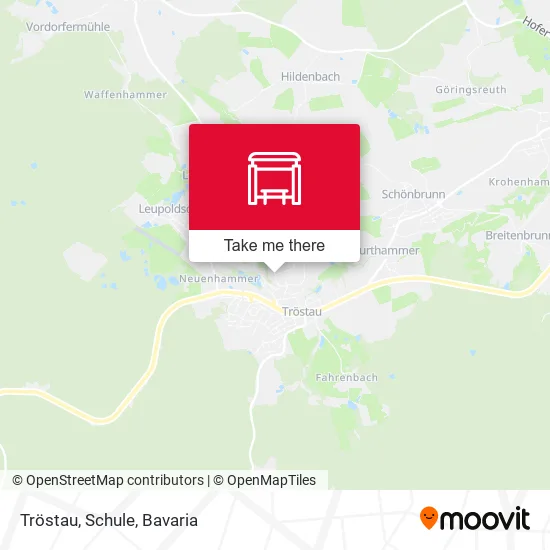Карта Tröstau, Schule