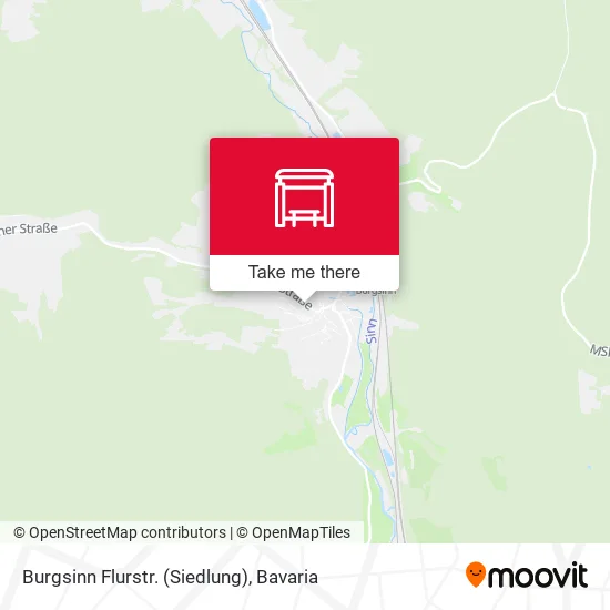 Карта Burgsinn Flurstr. (Siedlung)