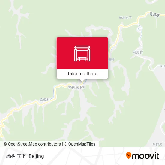 杨树底下 map