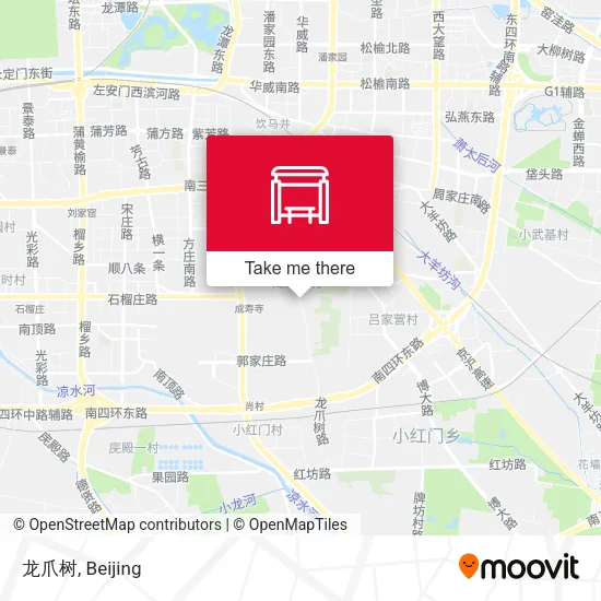 龙爪树 map