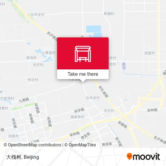 大槐树 map