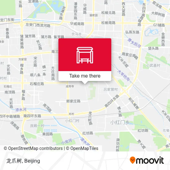 龙爪树 map