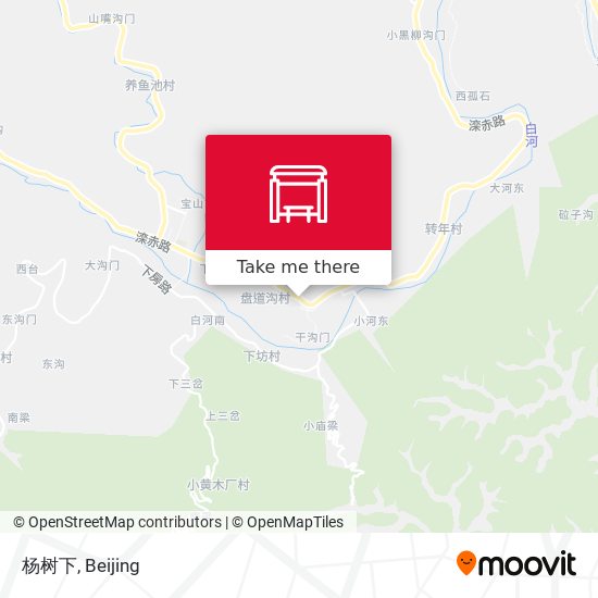 杨树下 map